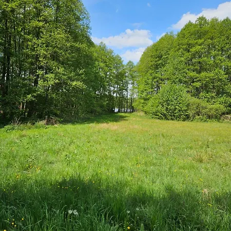 Siedlisko Silna Nowa