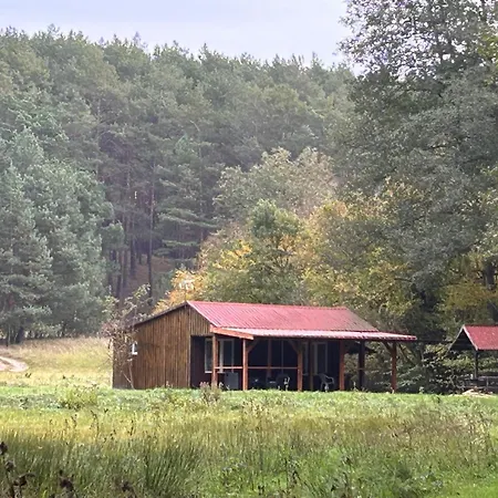 Siedlisko Silna Nowa