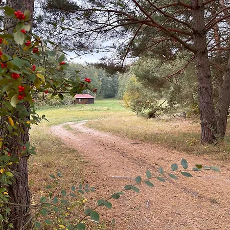 Siedlisko * Silna Nowa