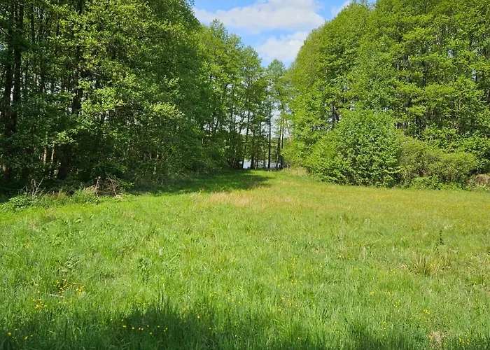 Siedlisko Silna Nowa