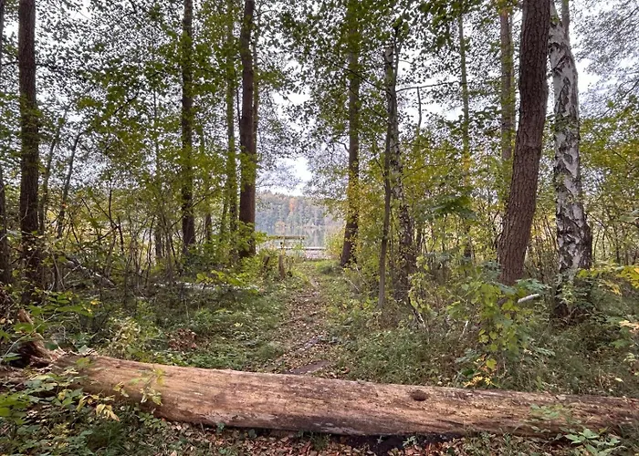 Siedlisko Dom wakacyjny