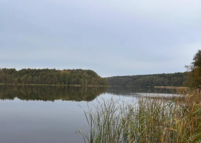 Dom wakacyjny Siedlisko *