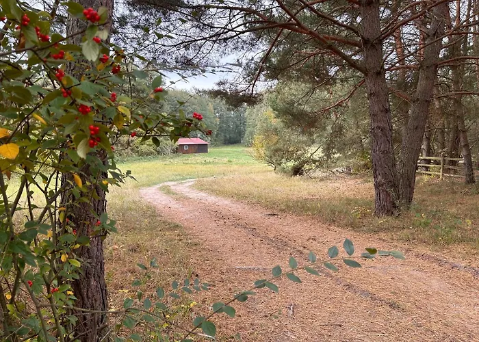 Siedlisko * Silna Nowa